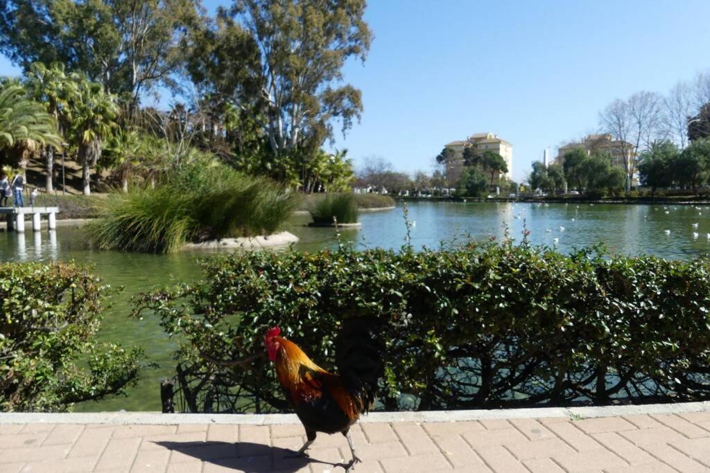 Holiday Rentals Piscina, Playa Parking A 5 Min Caminando Del Puerto De 贝纳尔马德纳 外观 照片